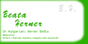 beata herner business card